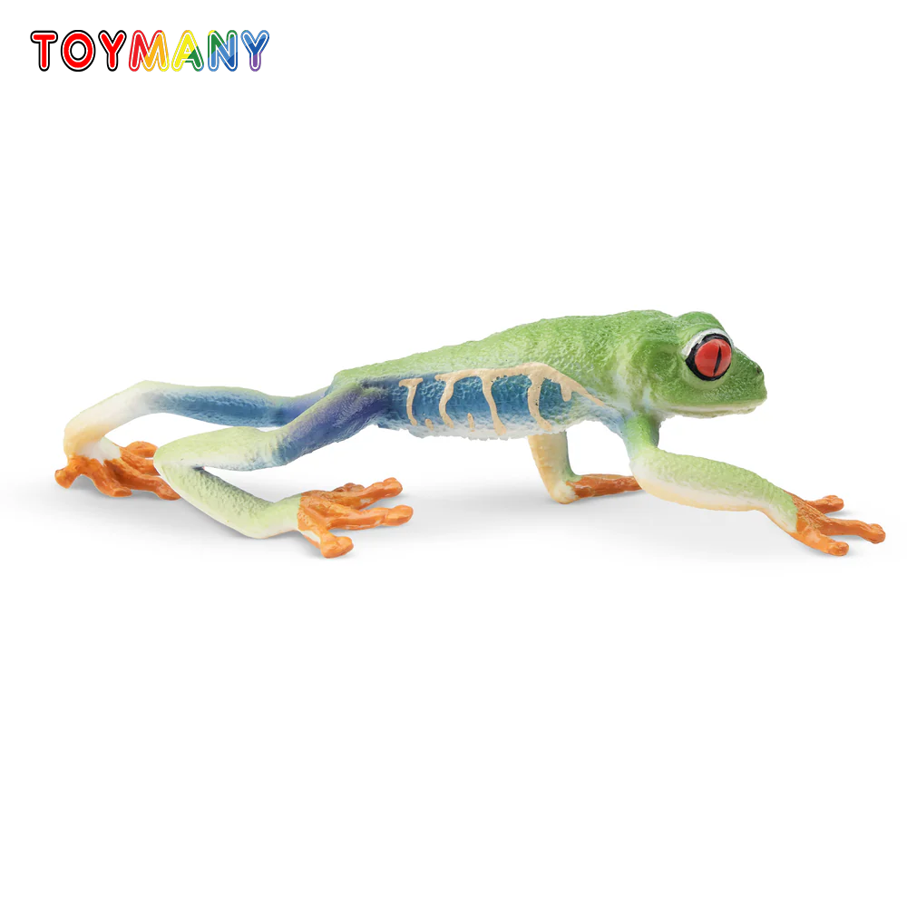Kids Toys Under $5 - Toymany Simulation Red-eyed Baum Frosch Reptil