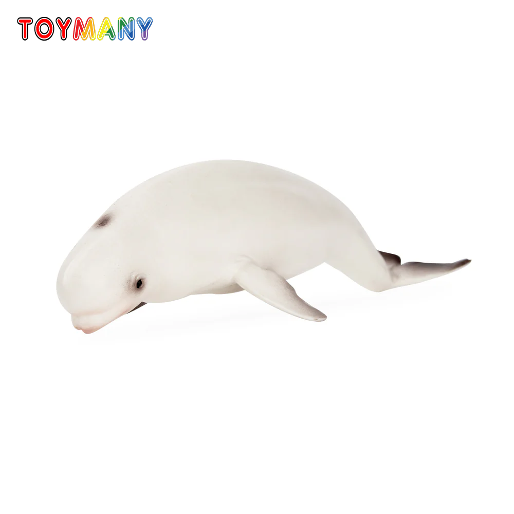Toymany Simulation Beluga Wal  – Kids Toys Under $5 Bewertung und Preis