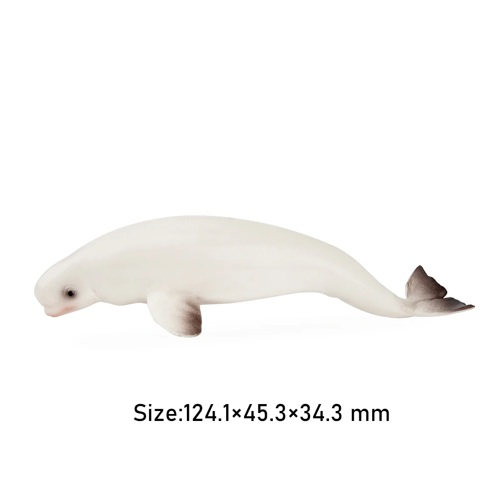 Toymany Simulation Beluga Wal  – Kids Toys Under $5 Bewertung und Preis