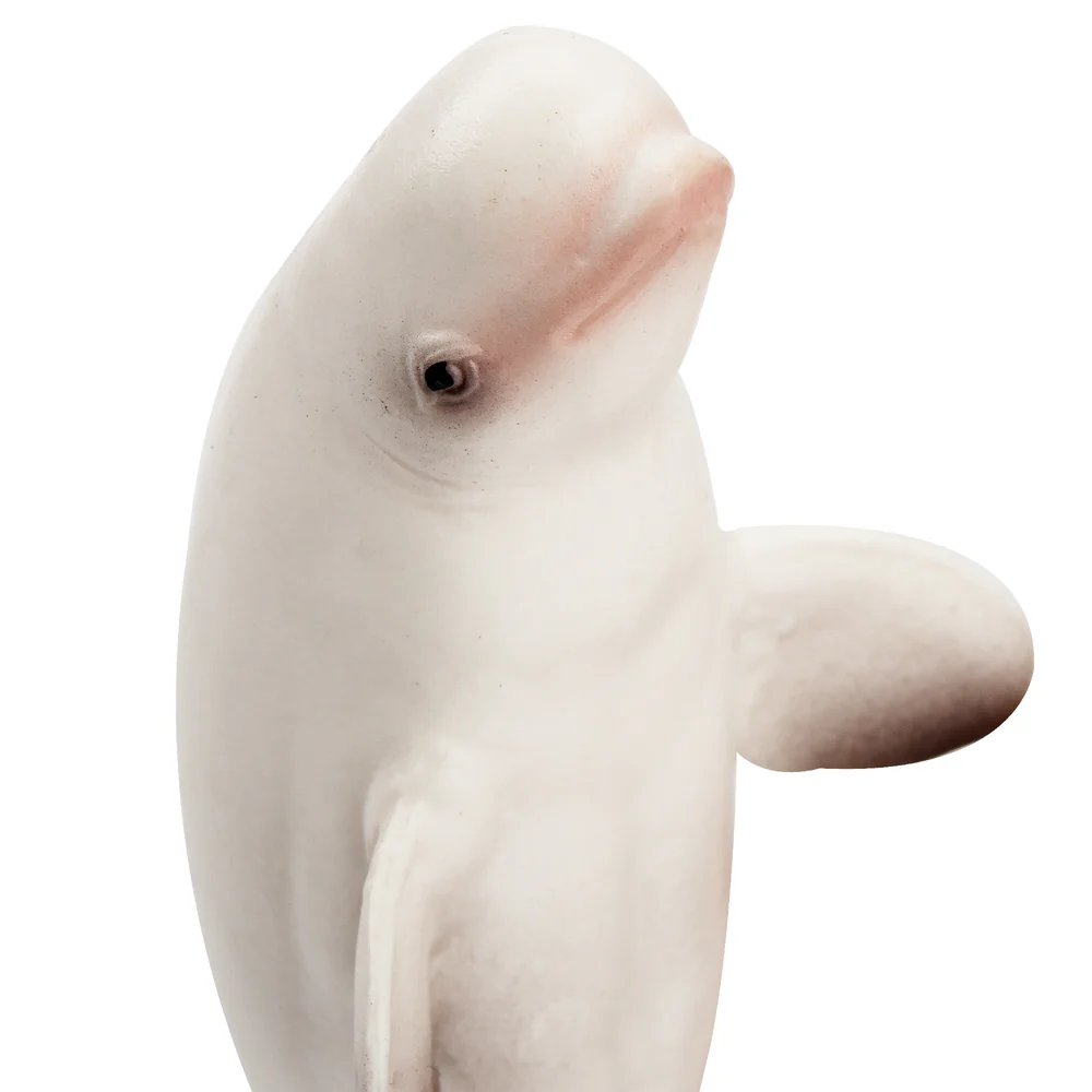 Toymany Simulation Beluga Wal  – Kids Toys Under $5 Bewertung und Preis