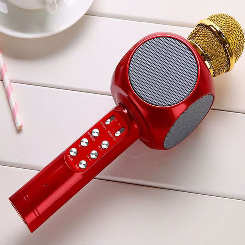 WS1816 Drahtlose Kinder Karaok – Kids Microphone Karaoke Bewertung und Preis