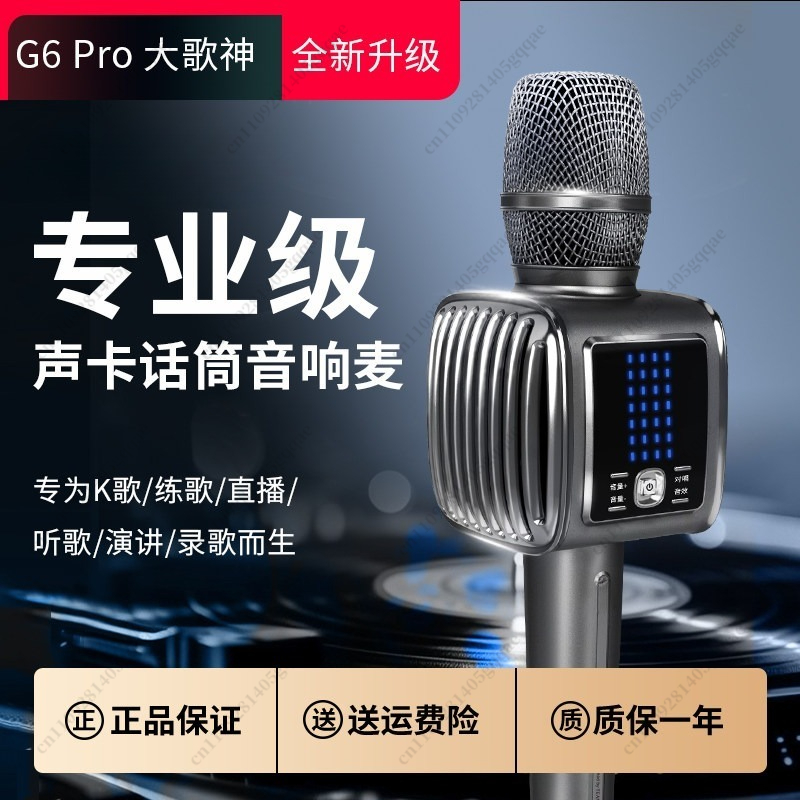 G6 Pro Karaoke-Mikrofon Kabell – Kids Microphone Karaoke Bewertung und Preis