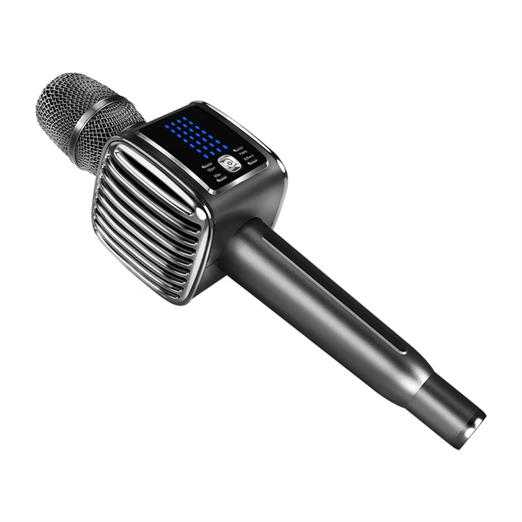 Tosing G6 PRO Sing Karaoke, ka – Kids Microphone Karaoke Bewertung und Preis