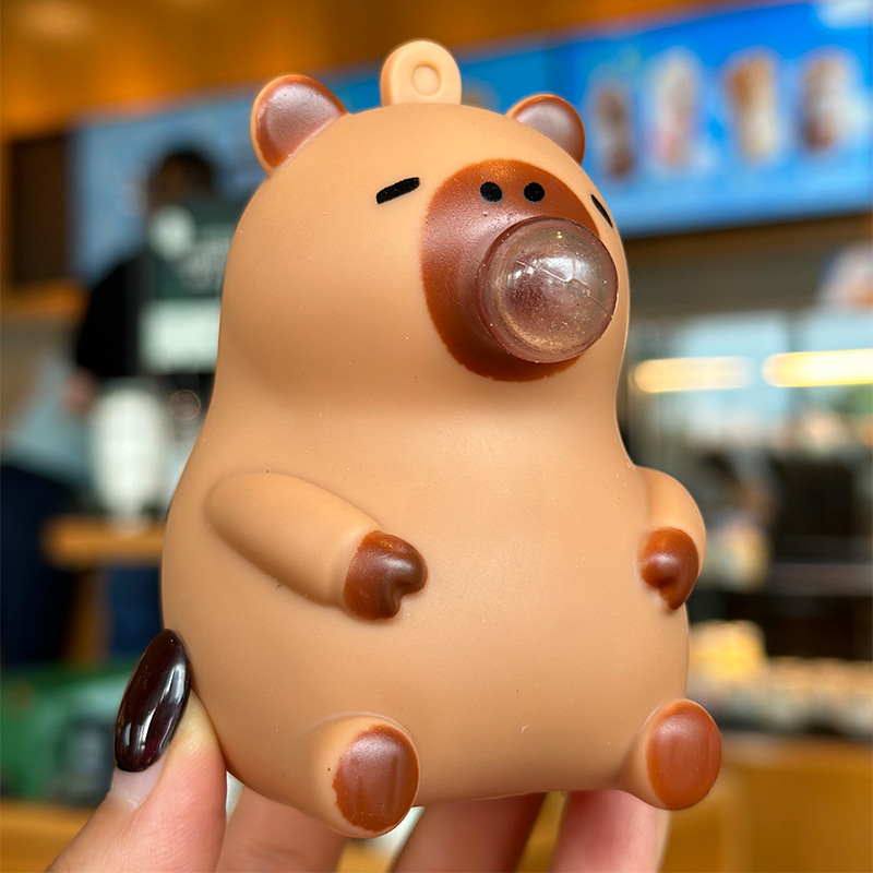Capybara Puppe Prise Anhänger  – Kids Toys Under $5 Bewertung und Preis