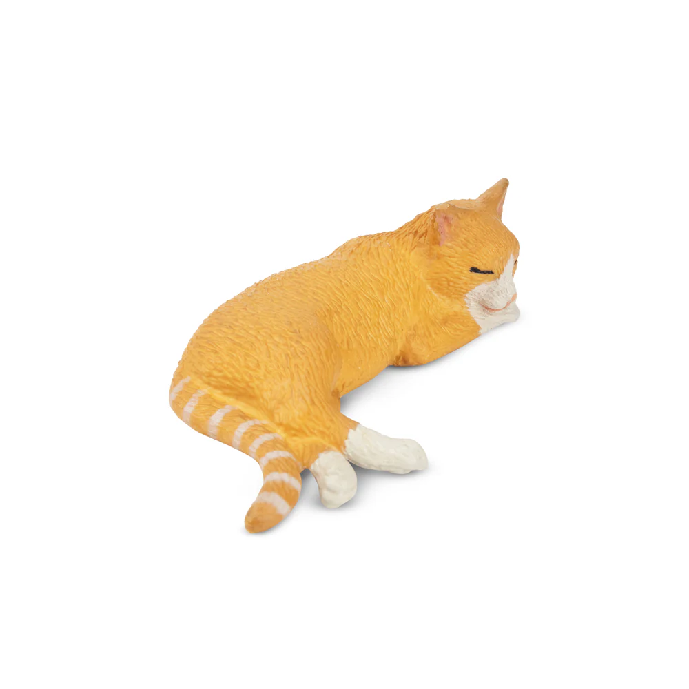 Toymany Simulation Liegen Oran – Kids Toys Under $5 Bewertung und Preis